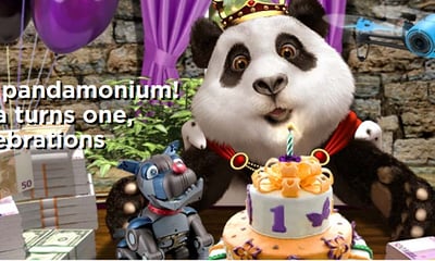 Royal Panda turns one and they are celebrating it with you