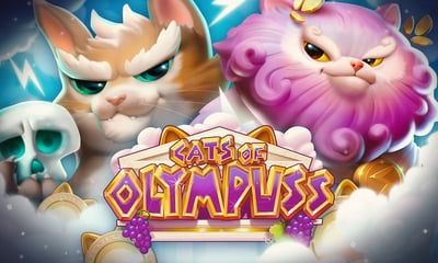 Push Gaming Unveils Its First 243 Ways Slot with Cats of Olympuss