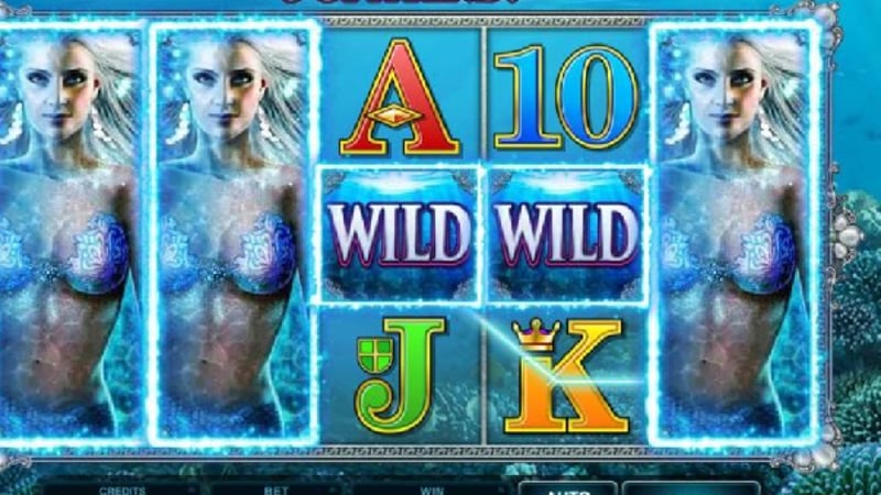 We have 6 new slots that will make your summer even better