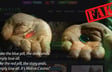 Another Hoax – Pirated Slots at Matrix Casino Exposed