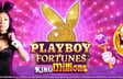 Playboy Fortunes and 9 Pots of Gold to Get King Millions Treatment