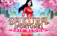Maximizing Wins in Sakura Fortune Epic Bloom – RTP Insights and Expected Payouts