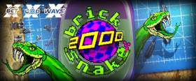Brick Snake 2000 by Nolimit City – 50/50 Chance to Double Your Max Win